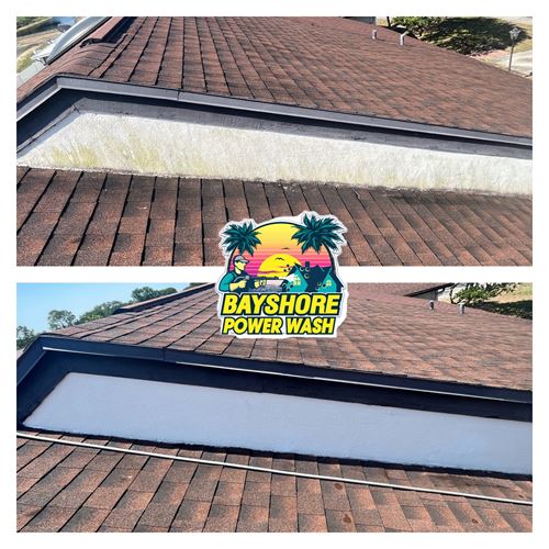 Roof Washing & Mold Removal in Tampa, FL Thumbnail