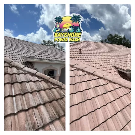 Roof Cleaning Thumbnail