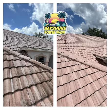 Roof Washing Thumbnail